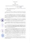 Vista preliminar de documento RER N° 106-2022