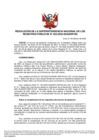 Vista preliminar de documento RES 025-2022-SUNARP-SN