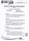 Vista preliminar de documento DIRECTIVA N° 001-2019-SGPI-GM/MDCH