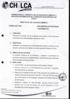 Vista preliminar de documento DIRECTIVA N°002-2019-SGPI-GM-MDCH.pdf