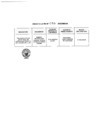 Vista preliminar de documento Anexo