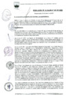 Vista preliminar de documento Resolución de alcaldía