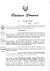 Vista preliminar de documento RD N° 009-2022.pdf