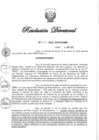 Vista preliminar de documento RD N° 029-2022.pdf