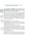 Vista preliminar de documento Conve_c295b81.pdf