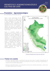 Vista preliminar de documento cafe_monitoreo_2feb22.pdf