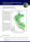 Vista preliminar de documento palto_monitoreo_2feb2022.pdf