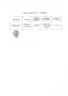 Vista preliminar de documento Anexo