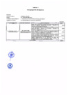 Vista preliminar de documento Anexo 1