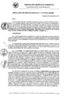 Vista preliminar de documento RG_607_2021.pdf