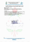 Vista preliminar de documento Acuerdos tomados en la 5ta Reunión CODISEC Carmen Alto 2021