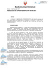 Vista preliminar de documento Plan Operativo Institucional Multianual 2022-2024