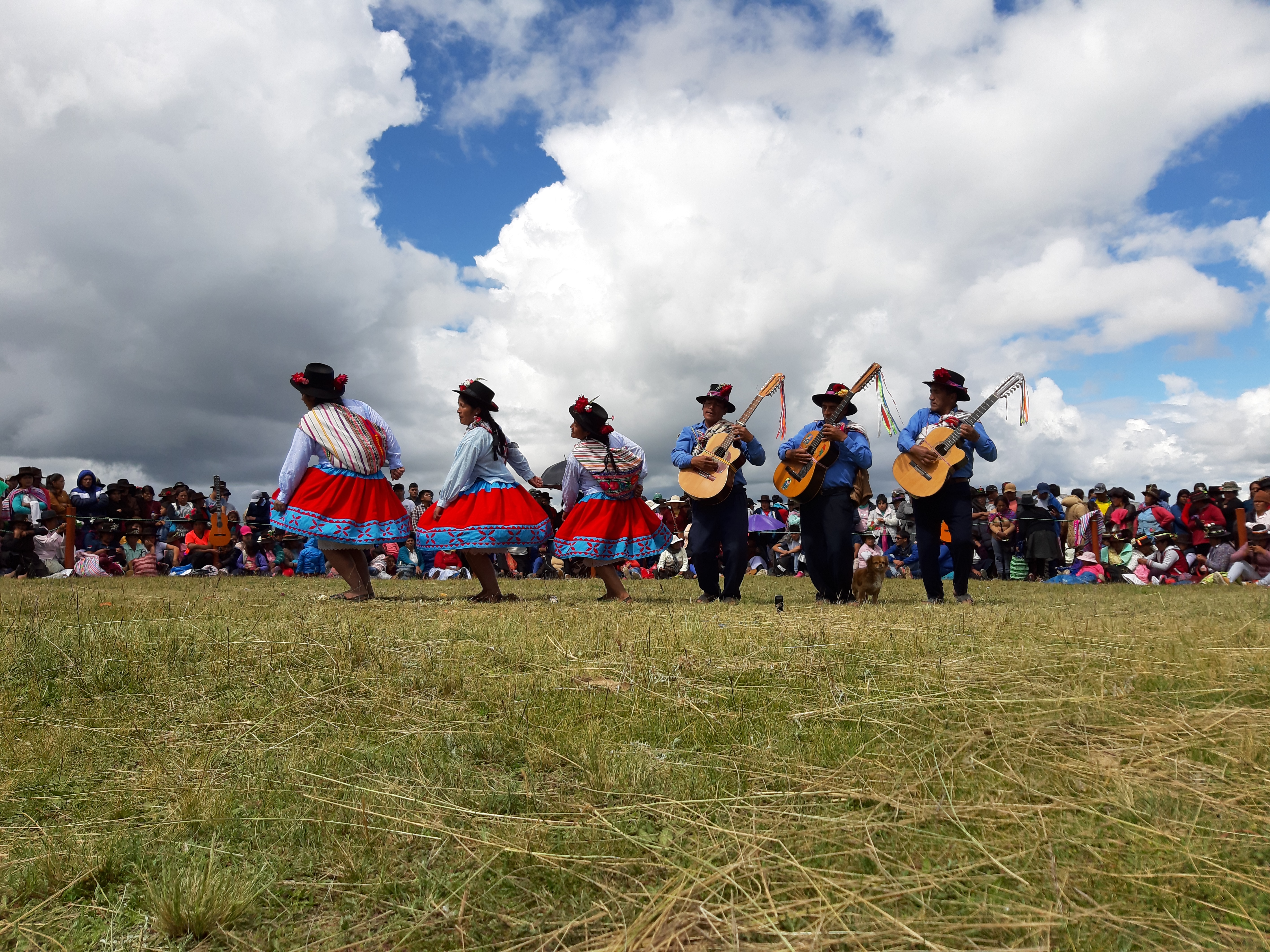 Pum pin fajardino de Ayacucho es declarado Patrimonio Cultural de la Nación