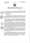 Vista preliminar de documento RESOLUCION DIRECTOTAL N° 032-2022-HNHU-DG.pdf