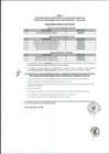 Vista preliminar de documento 5. RESULTADOS FINALES