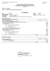 Vista preliminar de documento Nota anexo a la RJ 038 saldo de balance CAS[R].pdf