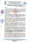 Vista preliminar de documento Resolución de Alcaldía N° 270-2020-MDCA/A.pdf