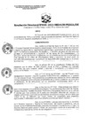 Vista preliminar de documento Resolución Directoral