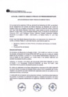 Vista preliminar de documento Acta comité subasta pública MPI.pdf