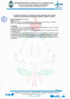 Vista preliminar de documento Acuerdos tomados en la 1era SESION ORDINARIA CODISEC 2022