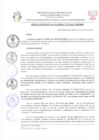 Vista preliminar de documento 275.pdf