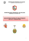 Vista preliminar de documento PLAN CONTINGENCIA 195 FIESTAS PATRIAS