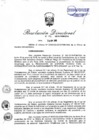 Vista preliminar de documento RD  138