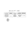 Vista preliminar de documento Anexo