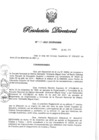 Vista preliminar de documento RD N° 428-2021.pdf