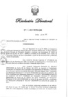 Vista preliminar de documento RD N° 442-2021.pdf