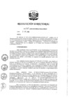 Vista preliminar de documento RD 275-2018