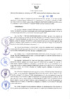 Vista preliminar de documento RES N°043-2022-GRDS