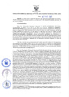 Vista preliminar de documento RES N°048-2022-GRDS