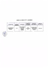 Vista preliminar de documento Anexo