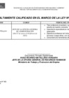 Vista preliminar de documento ANEXO DE PERFIL DE PUESTO - OGA
