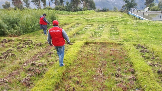 Contraloría alerta riesgo de pérdida de inversión en proyecto de reforestación del GORE Áncash