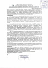 Vista preliminar de documento Resolución de Gerencia Municipal N° 316-2017/MPS-GM