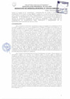 Vista preliminar de documento Resolución de Gerencia Municipal N° 356-2017/MPS-GM