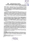 Vista preliminar de documento Resolución de Gerencia Municipal N° 406-2017/MPS-GM