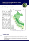 Vista preliminar de documento palto_monitoreo_3feb2022.pdf