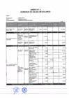 Vista preliminar de documento Anexo Nº 2