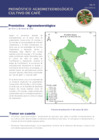 Vista preliminar de documento cafe_monitoreo_3feb22.pdf