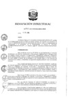 Vista preliminar de documento RD 267-2018