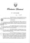 Vista preliminar de documento RD N° 196-2021.pdf