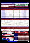 Vista preliminar de documento Daily 24_01_19