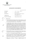Vista preliminar de documento RESOLUCION 005-2019-MEM-CM