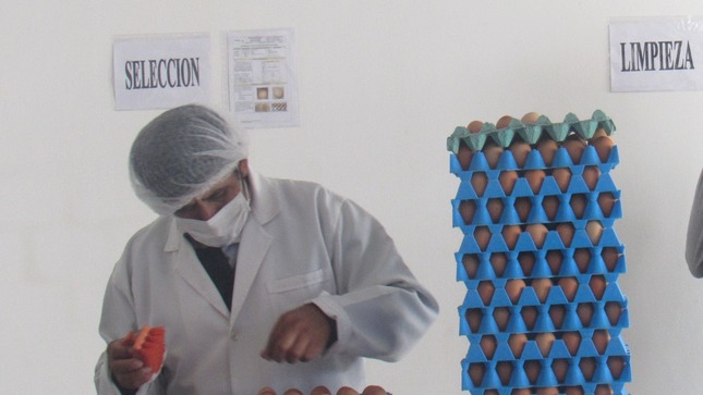 Imagen de una persona arreglando la producción de huevos.