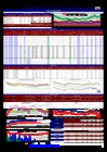 Vista preliminar de documento Daily 29_01_19