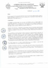 Vista preliminar de documento REA N° 010.pdf