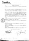 Vista preliminar de documento R.A. Nº031-2022.pdf